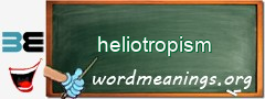 WordMeaning blackboard for heliotropism
